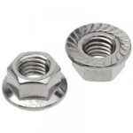Metric Flange Nuts Stainless Steel G304